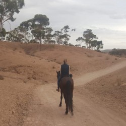 Horse Riding Tour in the Atlas